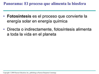 Panorama: El proceso que alimenta la biosfera


• Fotosíntesis es el proceso que convierte la
  energía solar en energía química
• Directa o indirectamente, fotosíntesis alimenta
  a toda la vida en el planeta




Copyright © 2008 Pearson Education, Inc., publishing as Pearson Benjamin Cummings
 