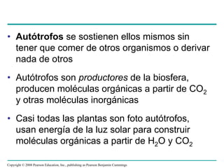 • Autótrofos se sostienen ellos mismos sin
  tener que comer de otros organismos o derivar
  nada de otros
• Autótrofos son productores de la biosfera,
  producen moléculas orgánicas a partir de CO2
  y otras moléculas inorgánicas
• Casi todas las plantas son foto autótrofos,
  usan energía de la luz solar para construir
  moléculas orgánicas a partir de H2O y CO2

Copyright © 2008 Pearson Education, Inc., publishing as Pearson Benjamin Cummings
 