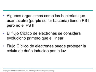 • Algunos organismos como las bacterias que
  usan azufre (purple sulfur bacteria) tienen PS I
  pero no el PS II
• El flujo Cíclico de electrones se considera
  evolucionó primero que el linear
• Flujo Cíclico de electrones puede proteger la
  célula de daño inducido por la luz



Copyright © 2008 Pearson Education, Inc., publishing as Pearson Benjamin Cummings
 