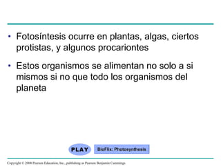 • Fotosíntesis ocurre en plantas, algas, ciertos
  protistas, y algunos procariontes
• Estos organismos se alimentan no solo a si
  mismos si no que todo los organismos del
  planeta




                                                             BioFlix: Photosynthesis


Copyright © 2008 Pearson Education, Inc., publishing as Pearson Benjamin Cummings
 