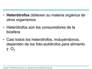 • Heterótrofos obtienen su materia orgánica de
  otros organismos
• Heterótrofos son los consumidores de la
  biosfera
• Casi todos los heterótrofos, incluyéndonos,
  dependen de los foto-autótrofos para alimento
  y O2



Copyright © 2008 Pearson Education, Inc., publishing as Pearson Benjamin Cummings
 