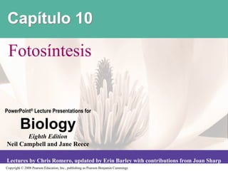 Capítulo 10

 Fotosíntesis


PowerPoint® Lecture Presentations for

         Biology
       Eighth Edition
Neil Campbell and Jane Reece

Lectures by Chris Romero, updated by Erin Barley with contributions from Joan Sharp
Copyright © 2008 Pearson Education, Inc., publishing as Pearson Benjamin Cummings
 
