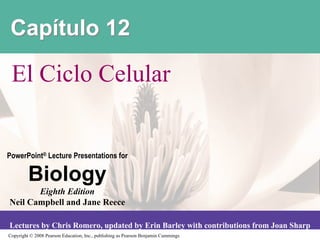 Capítulo 12

 El Ciclo Celular


PowerPoint® Lecture Presentations for

         Biology
       Eighth Edition
Neil Campbell and Jane Reece

Lectures by Chris Romero, updated by Erin Barley with contributions from Joan Sharp
Copyright © 2008 Pearson Education, Inc., publishing as Pearson Benjamin Cummings
 