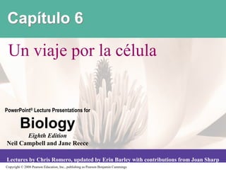 Capítulo 6

 @3*A&1>0*#"%*<1*7B<6<1


PowerPoint® Lecture Presentations for

         Biology
       Eighth Edition
Neil Campbell and Jane Reece

Lectures by Chris Romero, updated by Erin Barley with contributions from Joan Sharp
!"#$%&'()*+ ,--.*/01%2"3*45671)&"38*937:8*#6;<&2(&3'*12*/01%2"3*=03>1?&3*!6??&3'2
 