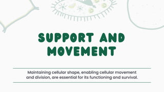Support Function Cell Biology: Fundamental Unit of Life -- Cell | PPTX