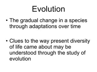Biology - Chp 1 - Biology The Study Of Life - PowerPoint | PPT