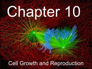Chapter 10


Cell Growth and Reproduction
 