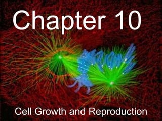 Cell Growth and Reproduction Chapter 10 