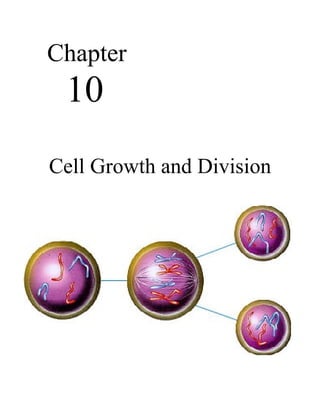 Chapter
 10
Cell Growth and Division
 
