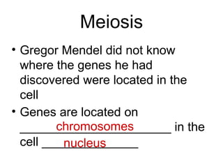 Biology - Chp 11 - Introduction To Genetics - PowerPoint | PPT