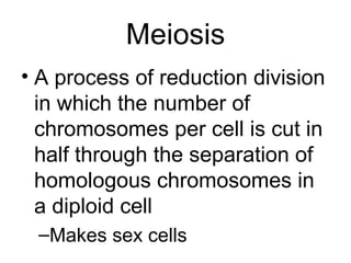 Biology - Chp 11 - Introduction To Genetics - PowerPoint | PPT