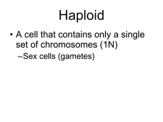 Biology - Chp 11 - Introduction To Genetics - PowerPoint
