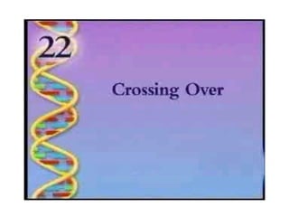 Biology - Chp 11 - Introduction To Genetics - PowerPoint