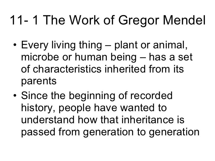 Biology 111 The Work Of Gregor Mendel Worksheet Answers - Worksheet List