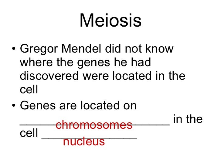 Biology 111 The Work Of Gregor Mendel Worksheet Answers