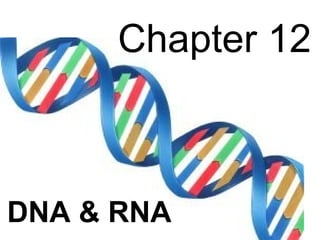 Chapter 12



DNA & RNA
 