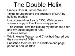 The Double Helix Francis Crick & James Watson Trying to understand the structure of DNA by building models Unsuccessful until early 1953, Watson was shown a copy of Franklin’s X-ray pattern “ The instant I saw the picture my mouth fell open and my pulse began to race.” James Watson Within weeks Watson and Crick had figured out the structure of DNA Published their results in a historic one page paper in April of 1953 