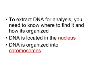 To extract DNA for analysis, you need to know where to find it and how its organized DNA is located in the  nucleus DNA is organized into  chromosomes 