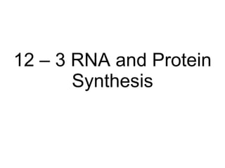 12 – 3 RNA and Protein Synthesis 