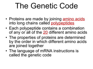 The Genetic Code Proteins are made by joining  amino acids  into long chains called  polypeptides Each polypeptide contains a combination of any or all of the  20  different amino acids The properties of proteins are determined by the order in which different amino acids are joined together The language of mRNA instructions is called the genetic code 