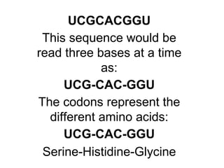 Serine-Histidine-Glycine UCG-CAC-GGU The codons represent the different amino acids: UCG-CAC-GGU This sequence would be read three bases at a time as: UCGCACGGU 