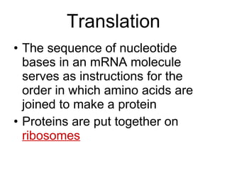 Translation The sequence of nucleotide bases in an mRNA molecule serves as instructions for the order in which amino acids are joined to make a protein Proteins are put together on  ribosomes 