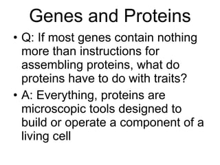 Genes and Proteins Q: If most genes contain nothing more than instructions for assembling proteins, what do proteins have to do with traits? A: Everything, proteins are microscopic tools designed to build or operate a component of a living cell 