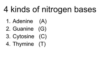 4 kinds of nitrogen bases Adenine  (A) Guanine  (G) Cytosine  (C) Thymine  (T) 