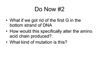 Do Now #2 What if we got rid of the first G in the bottom strand of DNA How would this specifically alter the amino acid chain produced? What kind of mutation is this? 