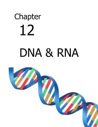 Chapter

 12
 DNA & RNA
 
