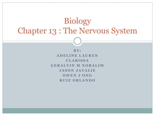 B Y :
A D E L I N E L A U R E N
C L A R I S S A
G E R A L V I N M N O R A L I M
J A S O N J A Y A L I E
O W E N J O N G
R U I Z O R L A N D O
Biology
Chapter 13 : The Nervous System
 