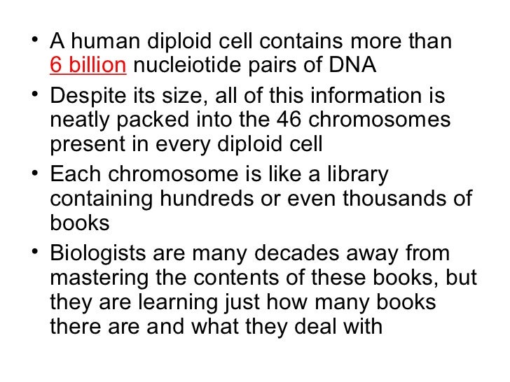an introduction to duchennes muscular dystrophy as a result of a defective gene on the x chromosome The myoblast defect identified in duchenne muscular dystrophy introduction duchenne muscular dystrophy double heterozygotes for two x chromosome functions. an introduction to duchennes muscular dystrophy as a result of a defective gene on the x chromosome The myoblast defect identified in duchenne muscular dystrophy introduction duchenne muscular dystrophy double heterozygotes for two x chromosome functions.