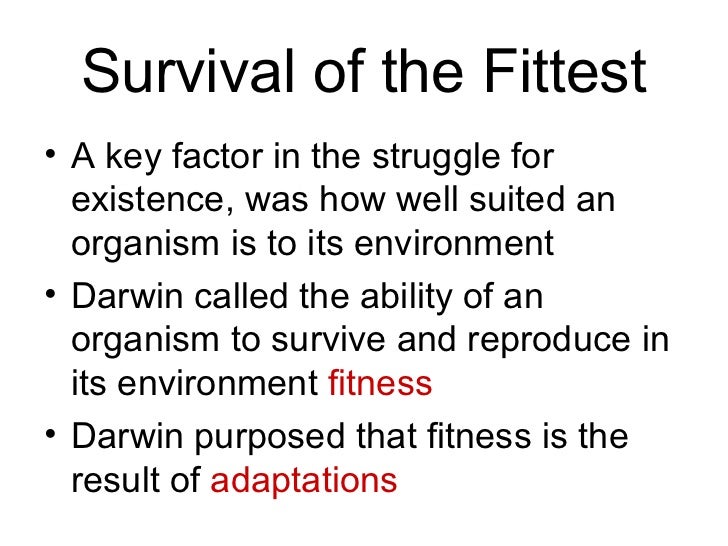 Image result for darwin and survival of the fittest