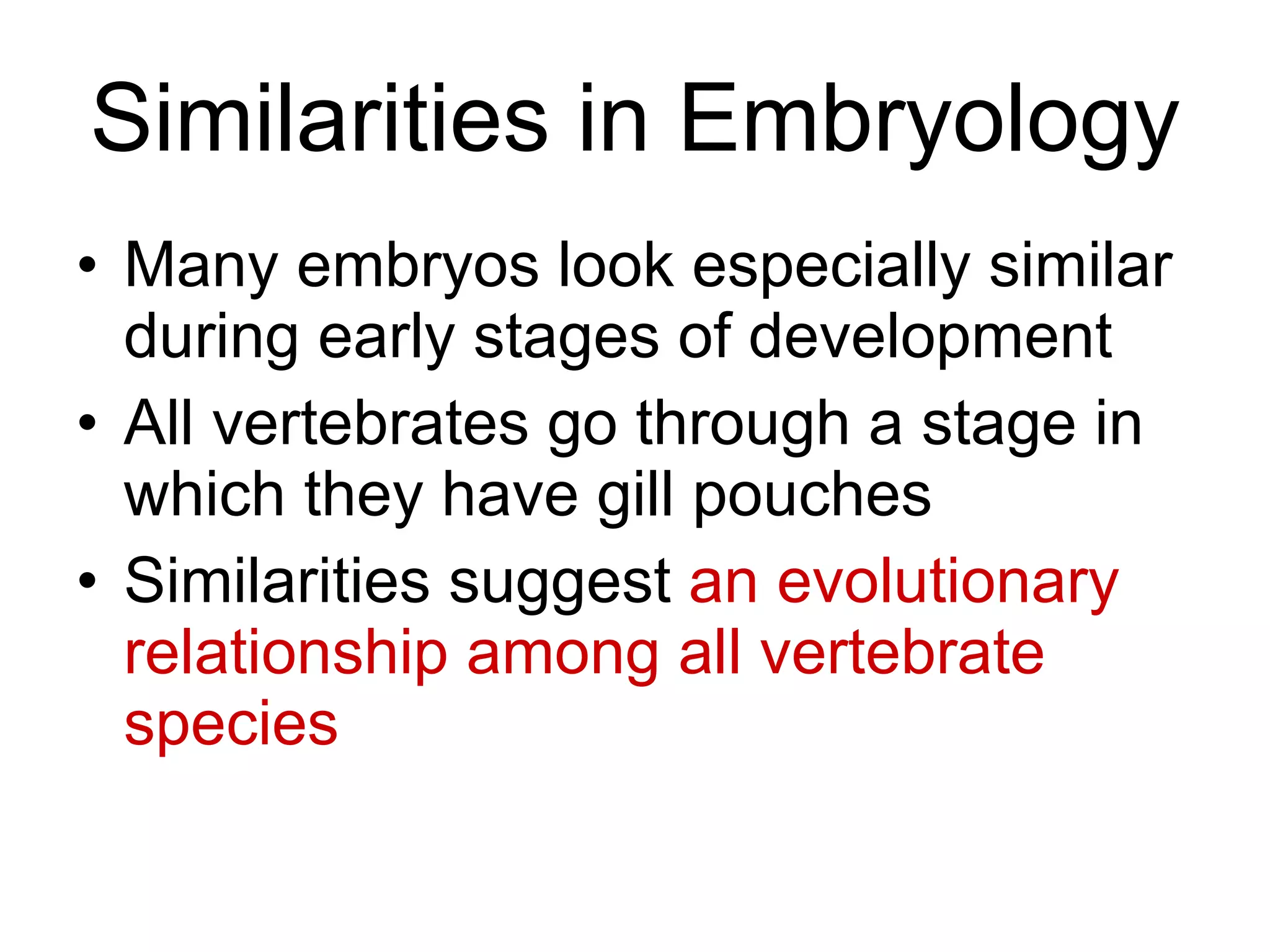 Biology - Chp 15 - Darwins Theory Of Evolution - PowerPoint | PPT