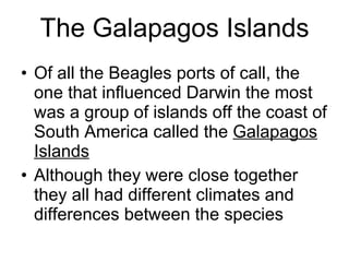 The Galapagos Islands ,[object Object],[object Object]