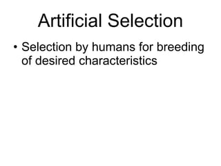 Artificial Selection ,[object Object]