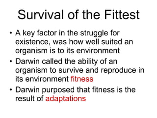Survival of the Fittest ,[object Object],[object Object],[object Object]