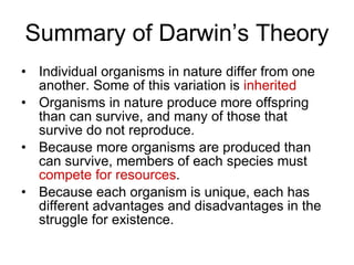 Summary of Darwin’s Theory ,[object Object],[object Object],[object Object],[object Object]