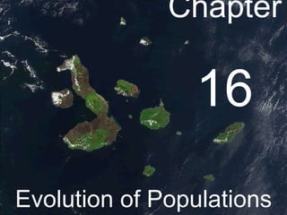 Chapter  16 Evolution of Populations 