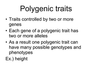 Polygenic traits Traits controlled by two or more genes Each gene of a polygenic trait has two or more alleles As a result one polygenic trait can have many possible genotypes and phenotypes Ex.) height 