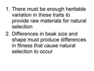 There must be enough heritable variation in these traits to provide raw materials for natural selection Differences in beak size and shape must produce differences in fitness that cause natural selection to occur 