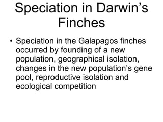 Speciation in Darwin’s Finches Speciation in the Galapagos finches occurred by founding of a new population, geographical isolation, changes in the new population’s gene pool, reproductive isolation and ecological competition 