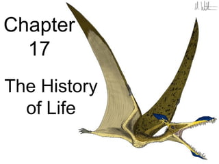Chapter
  17
The History
  of Life
 