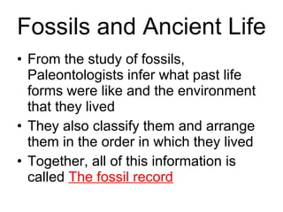 Biology - Chp 17 - History Of Life - PowerPoint | PPT