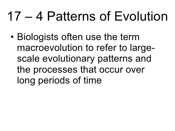 Biology Chp 60 History Of Life PowerPoint Enchanting Section 174 Patterns Of Evolution Biology Chp 60 History Of Life PowerPoint Enchanting Section 174 Patterns Of Evolution