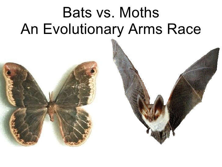 Biology Chp 17 History Of Life PowerPoint