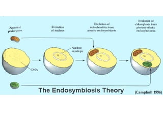 Biology - Chp 17 - How Life May Have Begun On Earth - PowerPoint | PPT