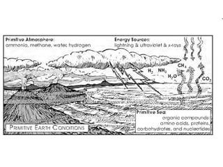Biology - Chp 17 - How Life May Have Begun On Earth - PowerPoint | PPT