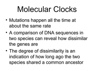 Molecular Clocks
• Mutations happen all the time at
  about the same rate
• A comparison of DNA sequences in
  two species can reveal how dissimilar
  the genes are
• The degree of dissimilarity is an
  indication of how long ago the two
  species shared a common ancestor
 