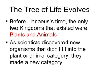 The Tree of Life Evolves
• Before Linnaeus’s time, the only
  two Kingdoms that existed were
  Plants and Animals
• As scientists discovered new
  organisms that didn’t fit into the
  plant or animal category, they
  made a new category
 
